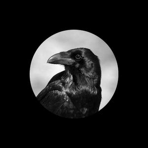 无码性午夜视频在线观看
